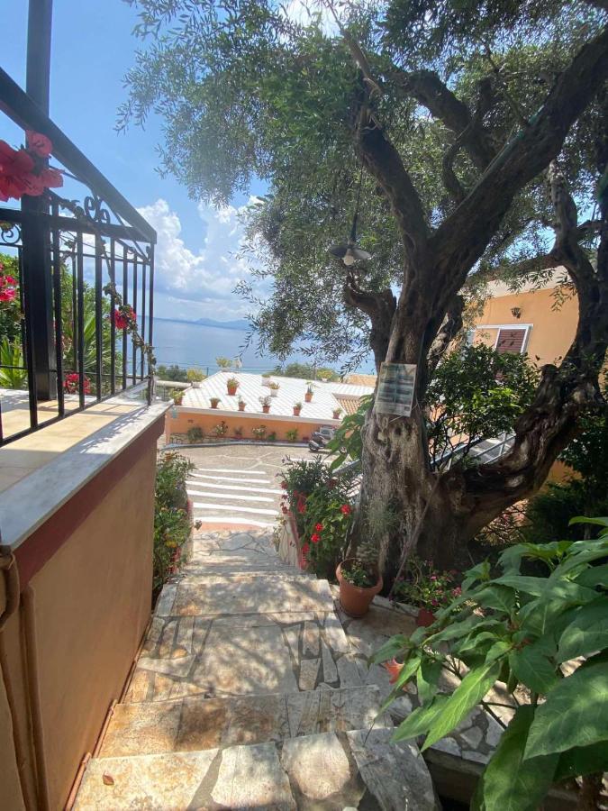 Emilios See View Apartment Barbati Luaran gambar