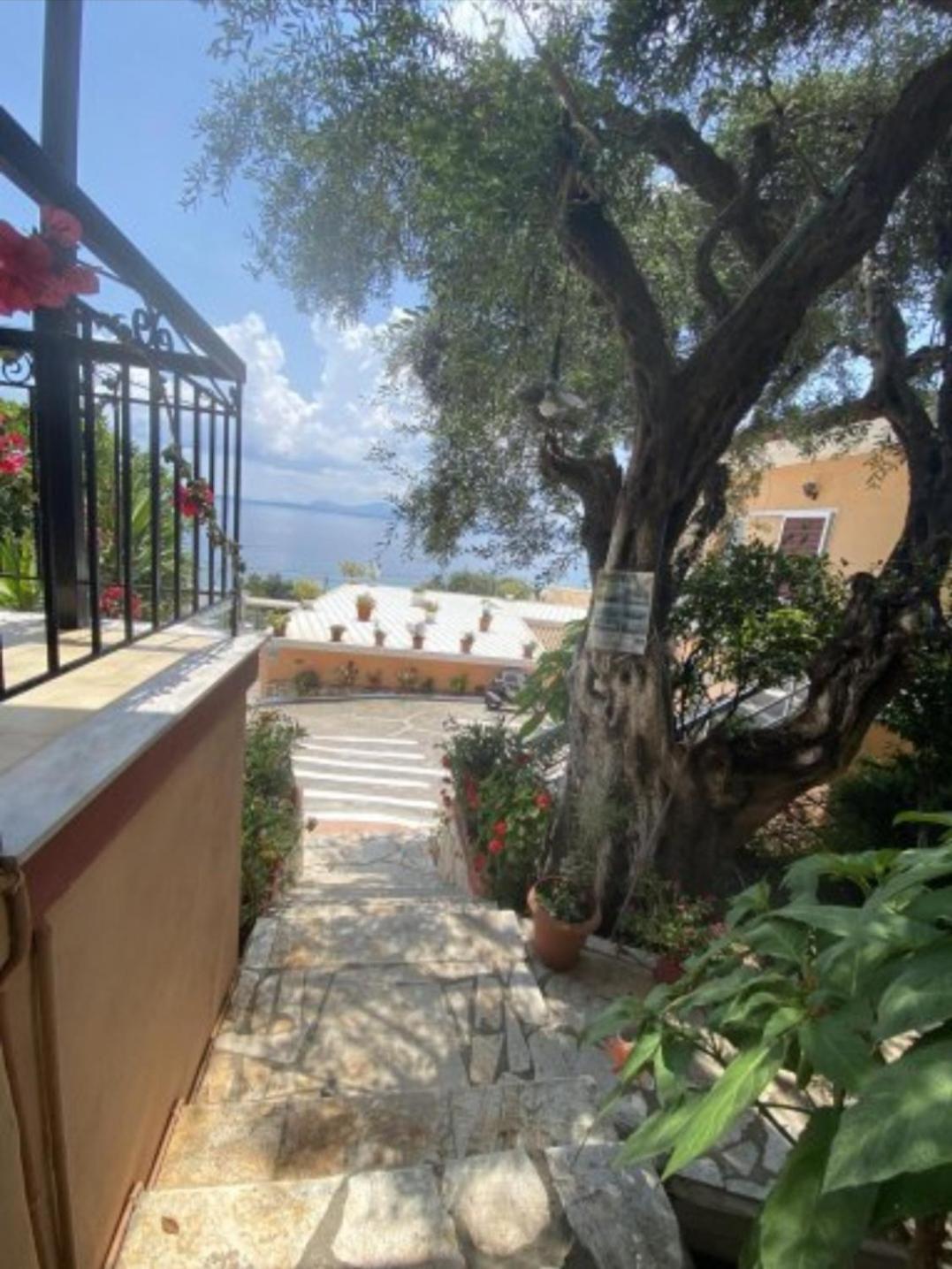 Emilios See View Apartment Barbati Luaran gambar